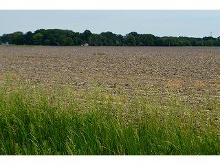 Property photo 8 - FARM & LAND AUCTION - 125+/- ACRES OFFERED IN 5 TRACTS IN EAST ALLEN COUNTY, INDIANA